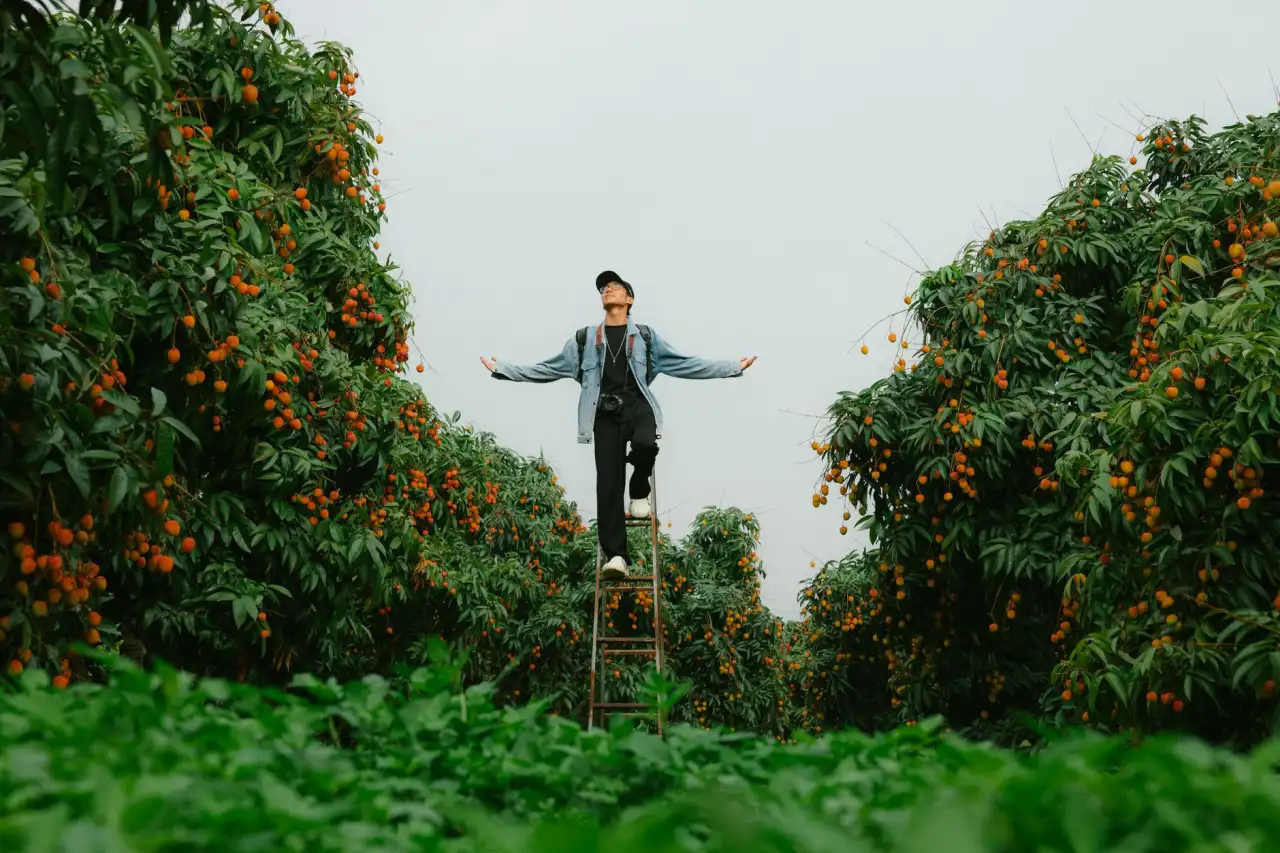 湖北教育多媒体设备采购指南:教学一体机选型要点与成本分析